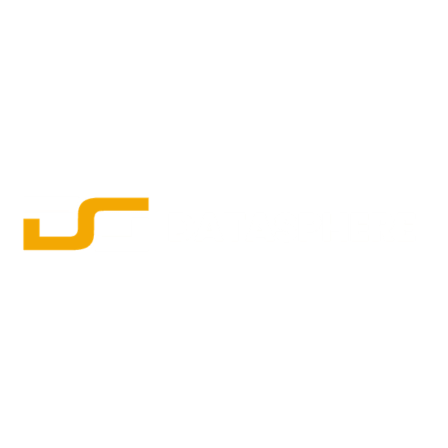 Datasphere Nigeria logo